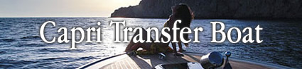 transfer boats capri charter
