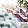 capri wedding